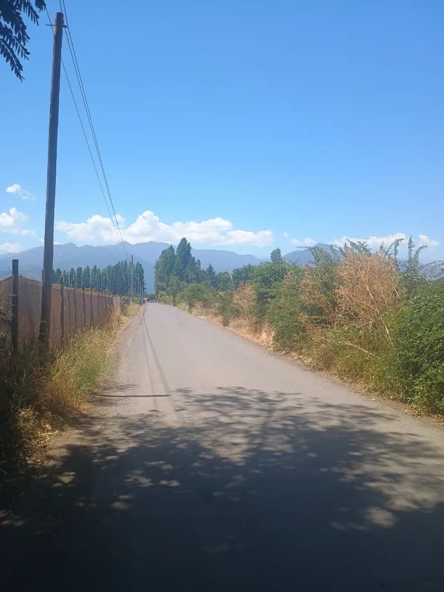 Lo De Lobo, Rengo, Región de O'Higgins, Chile