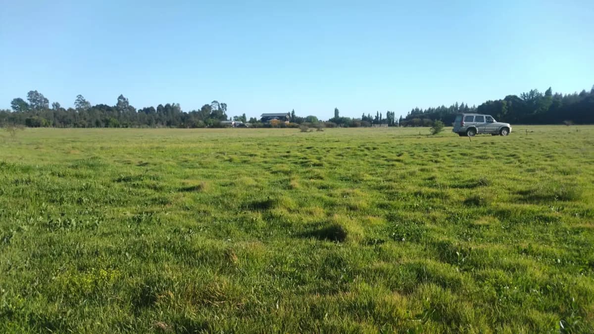 Bulnes, Región de Ñuble, Chile