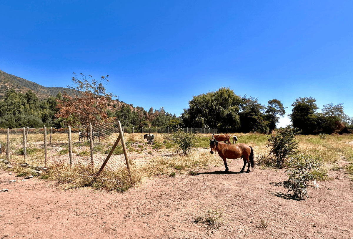 Ruta I-90-H, San Vicente, Región de O'Higgins 2970000, Chile