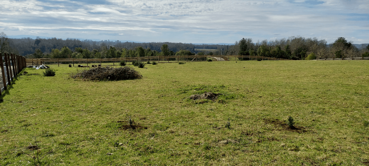 Ruta T-308, Valdivia, Región de Los Ríos 5090000, Chile