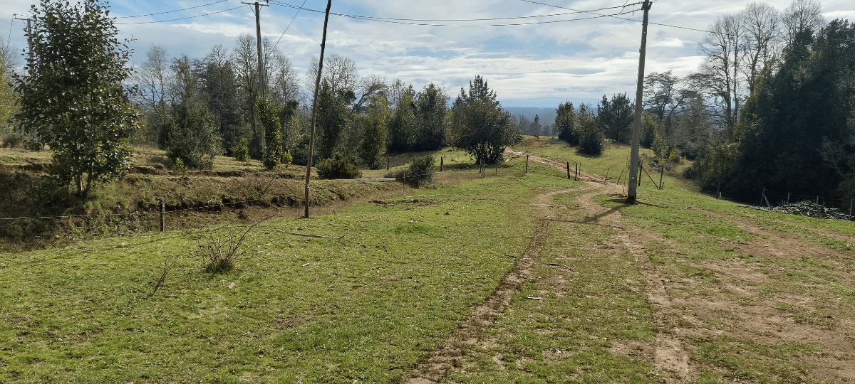 Ruta T-308, Valdivia, Región de Los Ríos 5090000, Chile