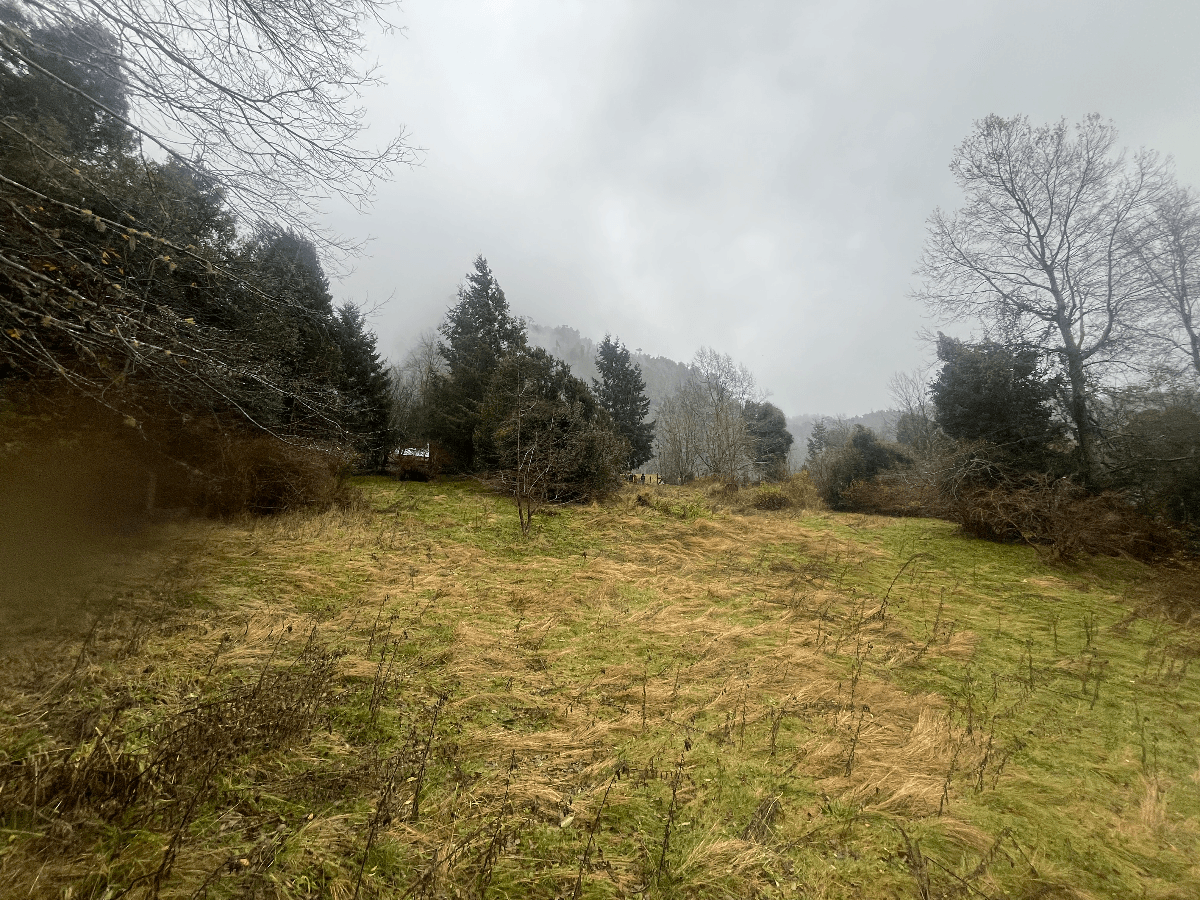 Maihué, Futrono, Región de Los Ríos, Chile