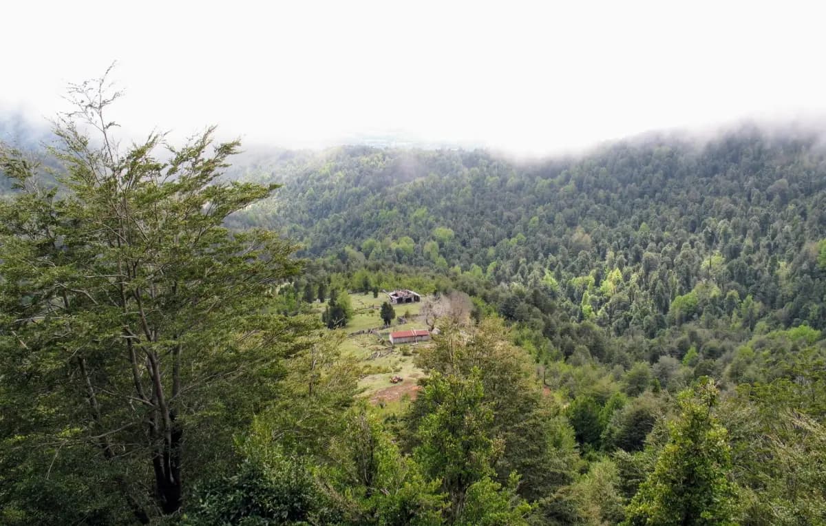 Camino Chesque Alto - Nalcahue, Villarrica, Región de La Araucanía 4930000, Chile