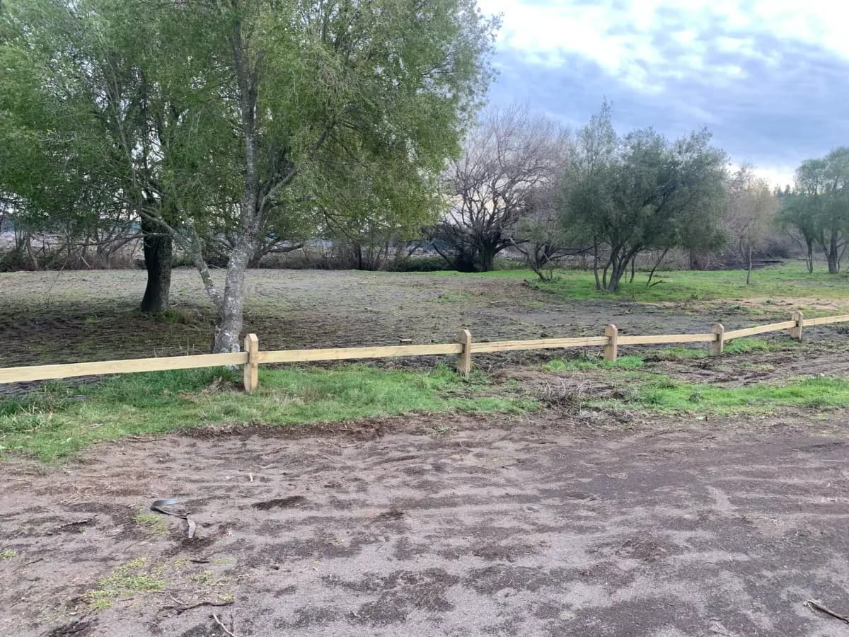 Paraguay, Los Ángeles, Región del Biobío, Chile