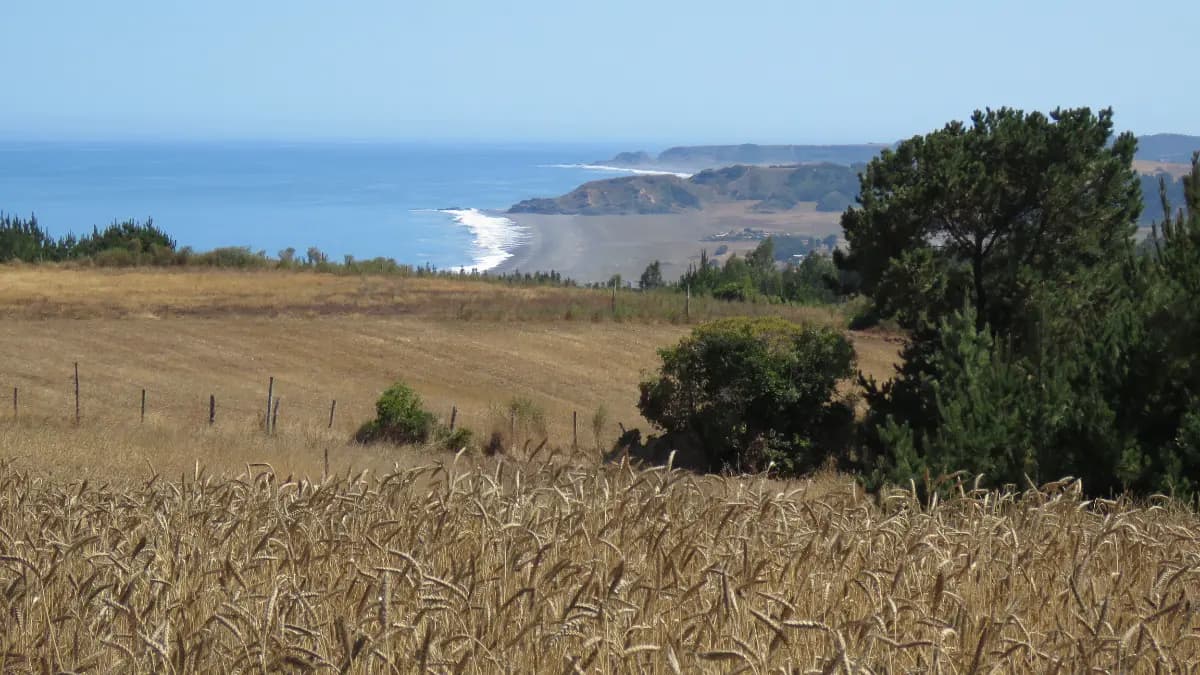 Buchupureo, Cobquecura, Región de Ñuble, Chile