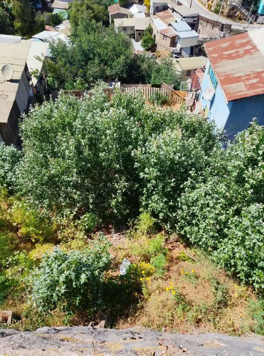 Camino Cintura 2333, Valparaíso, Región de Valparaíso 2340000, Chile