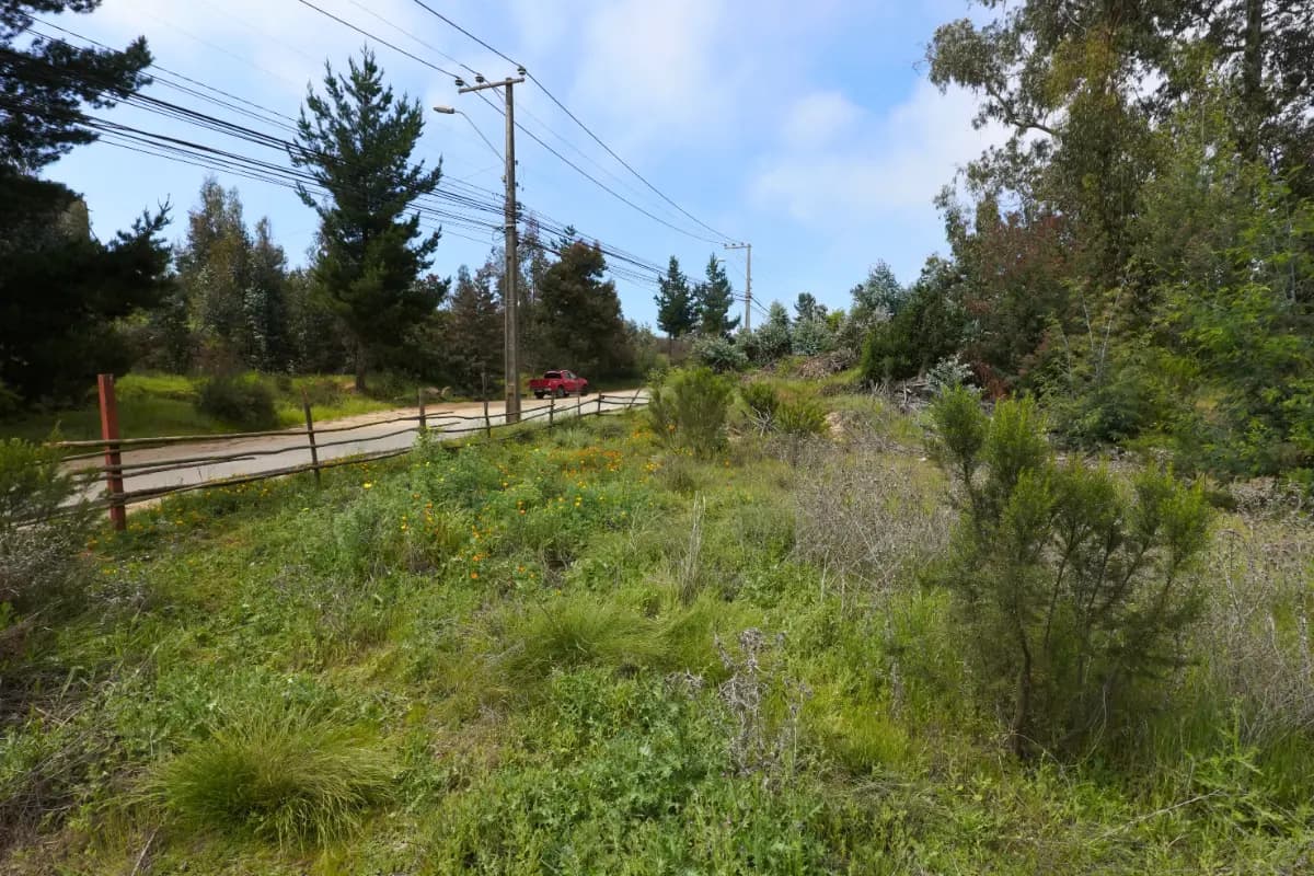 Placilla, Valparaíso, Región de Valparaíso, Chile