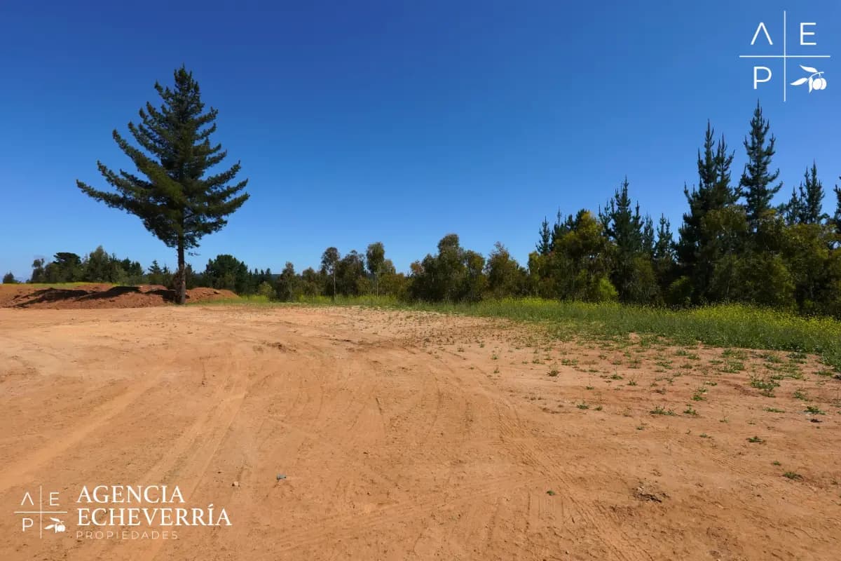 Placilla, Valparaíso, Región de Valparaíso 2340000, Chile