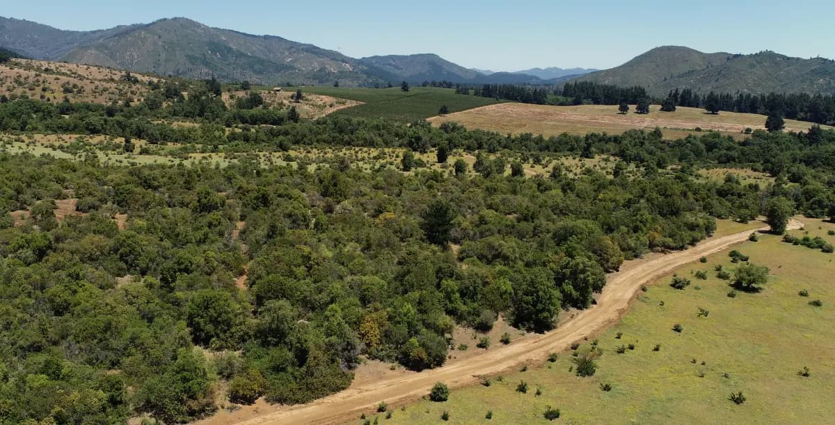 Potrero Grande, Curicó, Región del Maule, Chile
