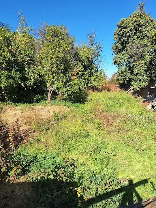 El Pino 509, Calle Larga, Región de Valparaíso 2130000, Chile