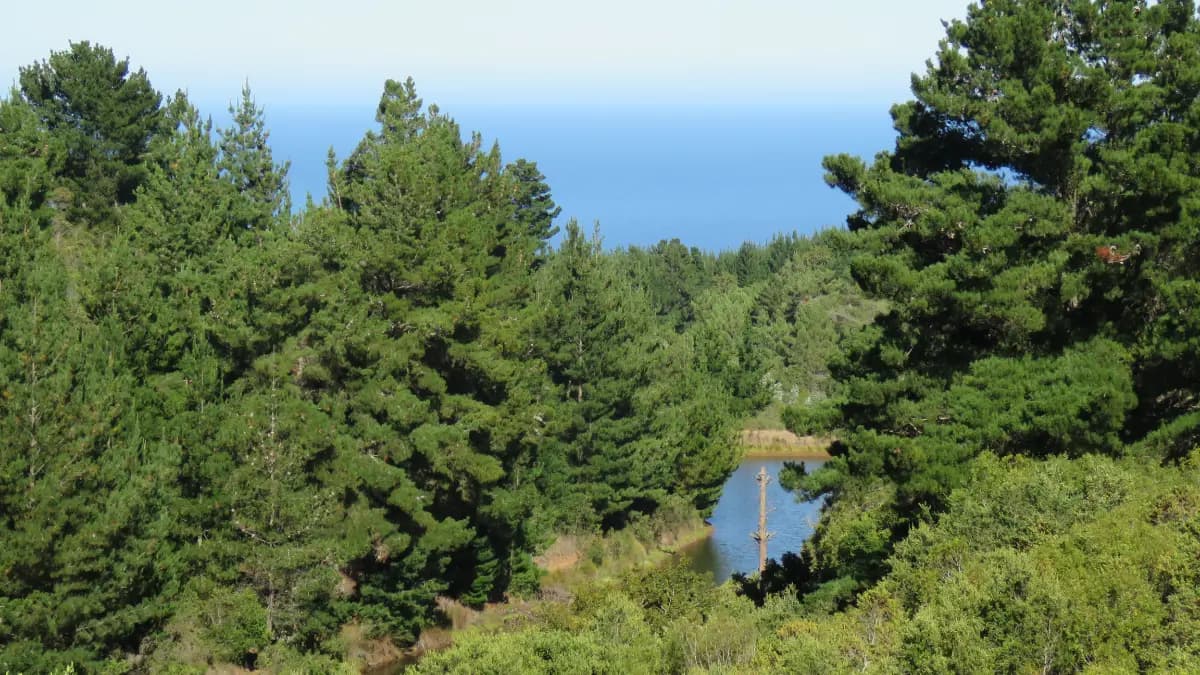 Cobquecura, Región de Ñuble, Chile