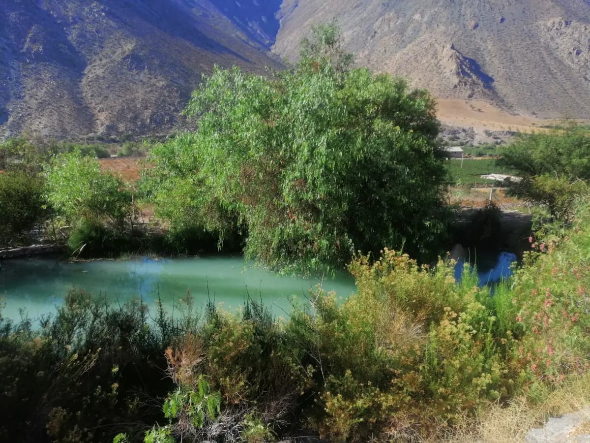 Rivadavia, Vicuña, Región de Coquimbo, Chile