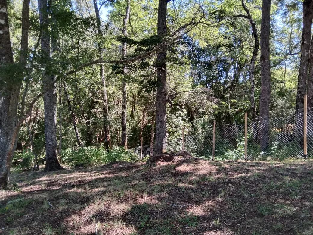 Polul, Pitrufquén, Región de La Araucanía, Chile