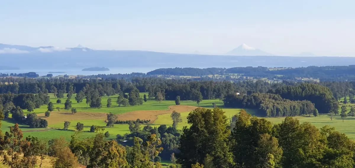 Ruta T-645, Futrono, Región de Los Ríos 5180000, Chile