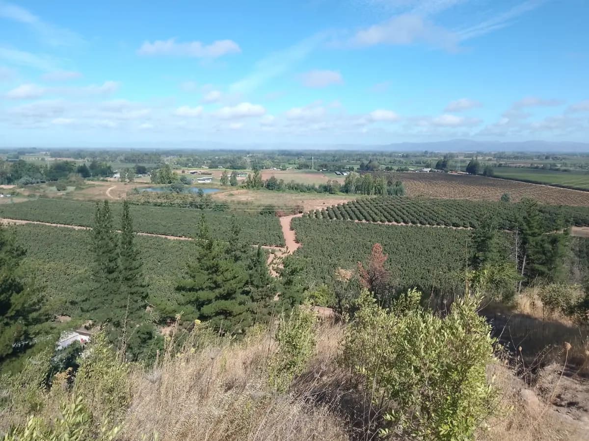 Cumpeo, Río Claro, Región del Maule, Chile