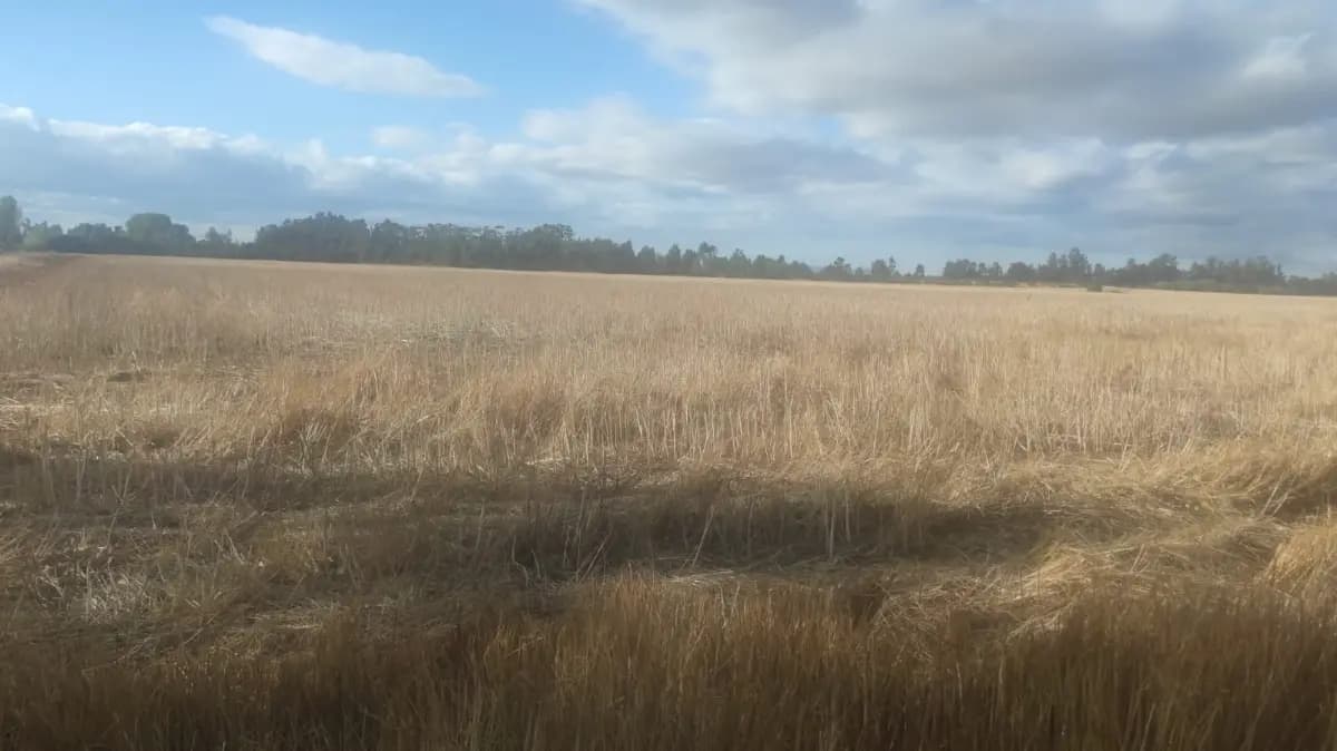 Perquenco, Región de La Araucanía, Chile