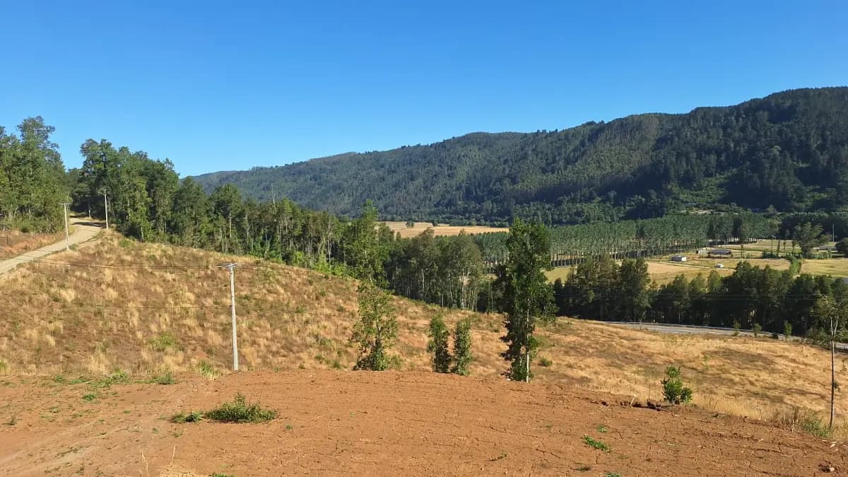 Ruta T-302, Valdivia, Región de Los Ríos 5090000, Chile