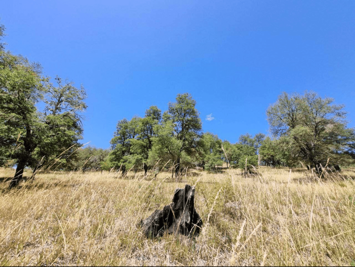 Lonquimay, Región de La Araucanía, Chile
