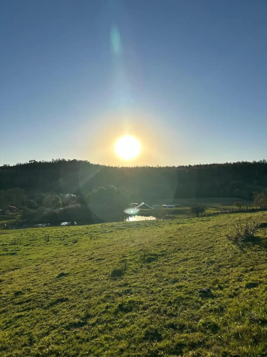 Fresia, Región de Los Lagos, Chile