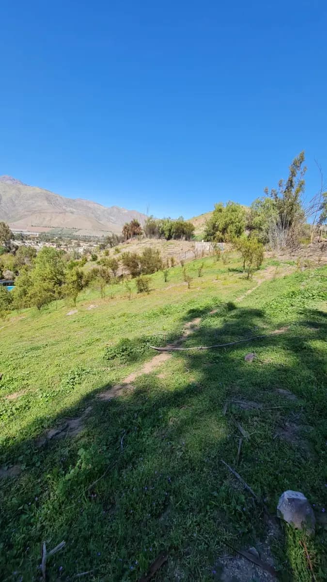 Huancara, Vicuña, Región de Coquimbo 1760000, Chile