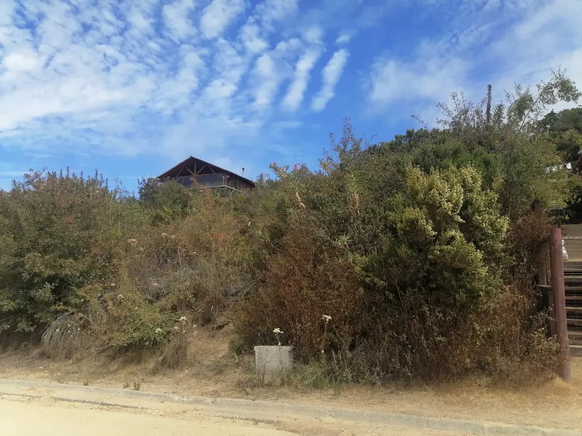 Los Cardos, El Tabo, Región de Valparaíso 2690000, Chile