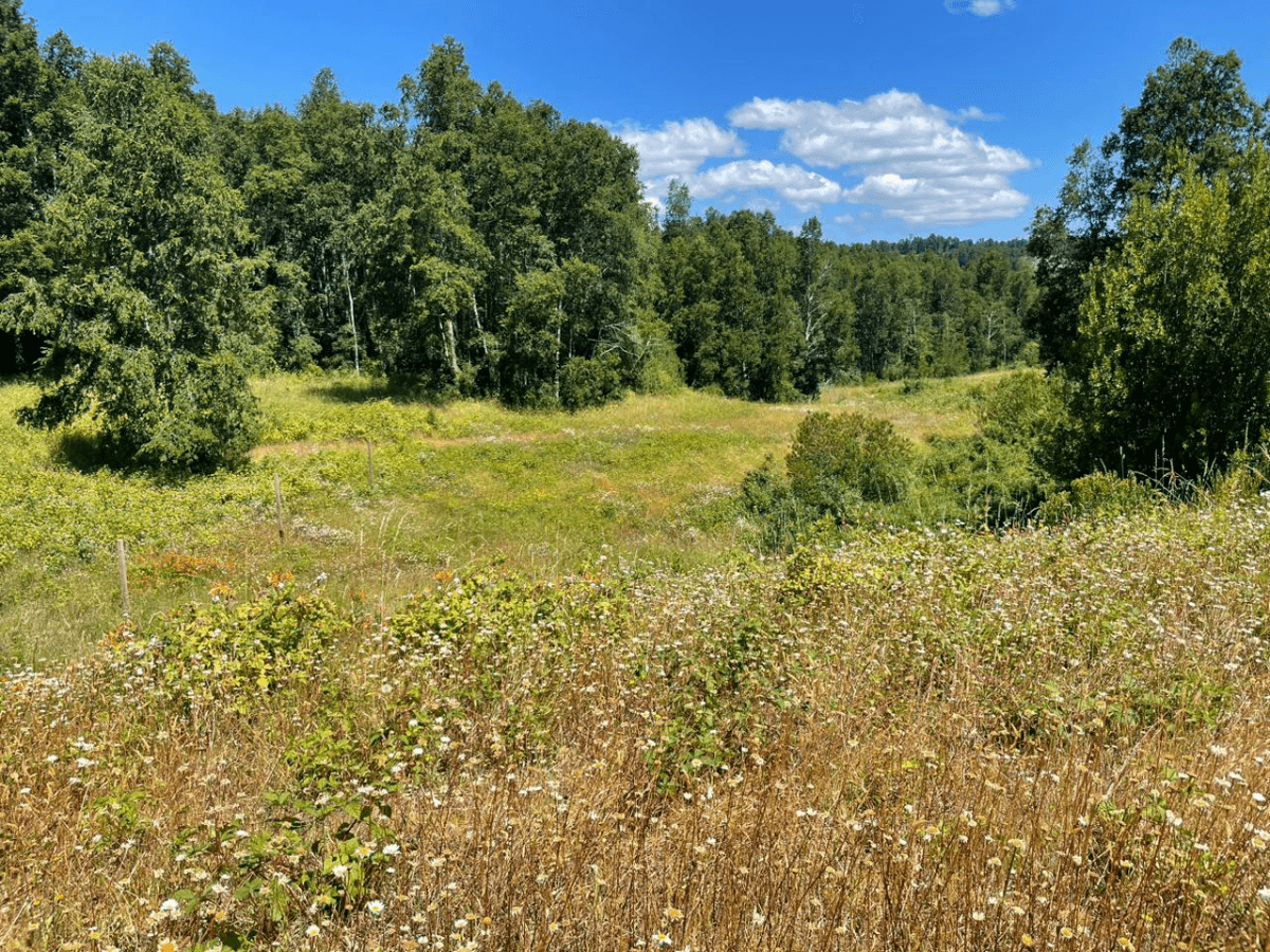 Fresia, Región de Los Lagos, Chile