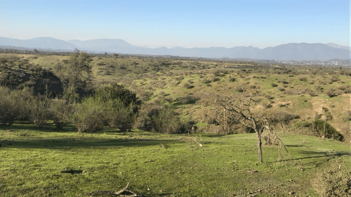 Codigua, Melipilla, Región Metropolitana de Santiago, Chile
