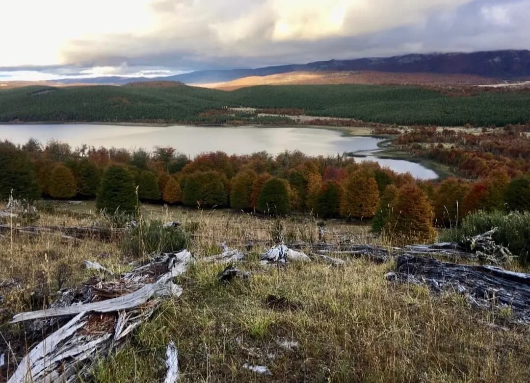 Coyhaique, Región de Aysén del General Carlos Ibáñez del Campo, Chile
