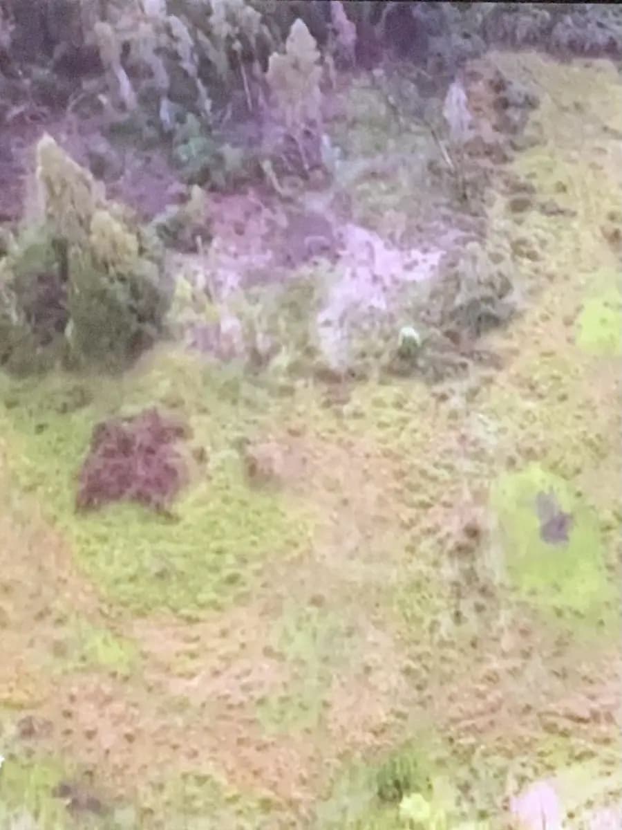 Cabrero, Región del Biobío, Chile