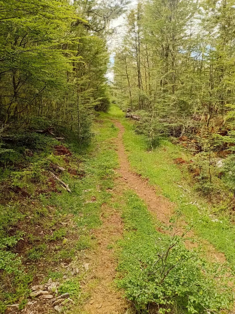 Guadal, Chile Chico, Región de Aysén del General Carlos Ibáñez del Campo, Chile