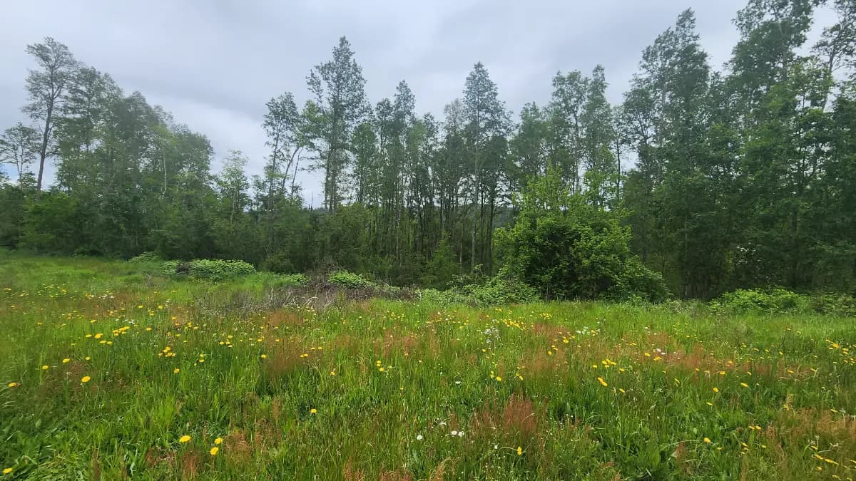 V. Rodriguez 306, Purranque, Región de Los Lagos 5380000, Chile