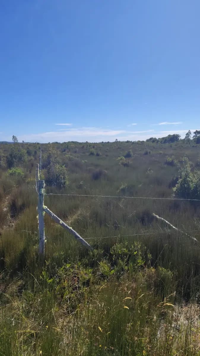 Ruta V-866, Maullín, Región de Los Lagos 5580000, Chile