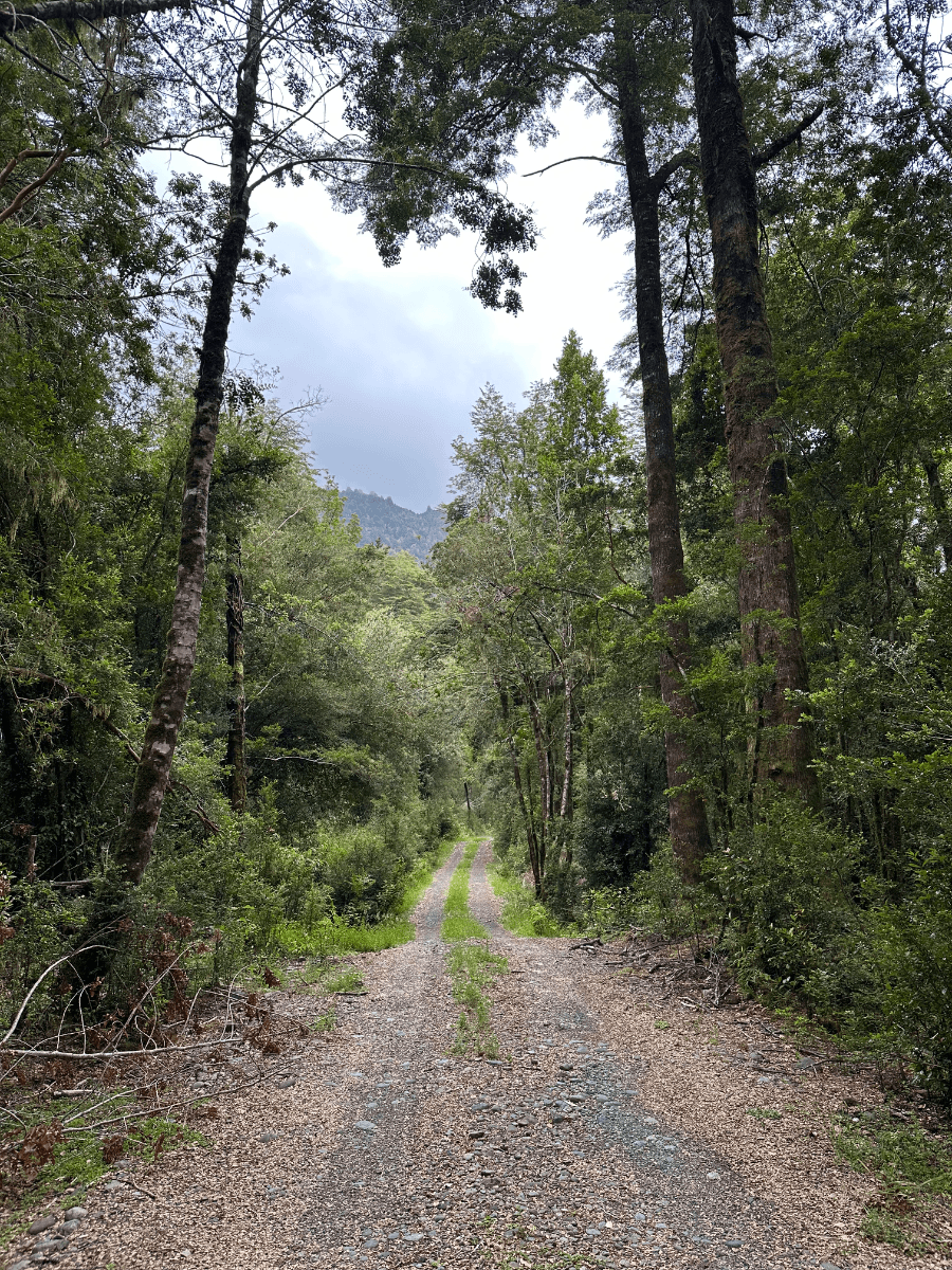Ruta V-725, Cochamó, Región de Los Lagos 5560000, Chile