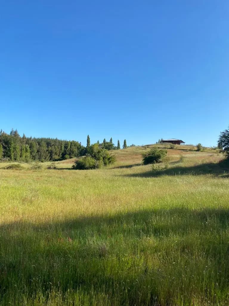 Coronel Del Maule, Cauquenes, Región del Maule, Chile