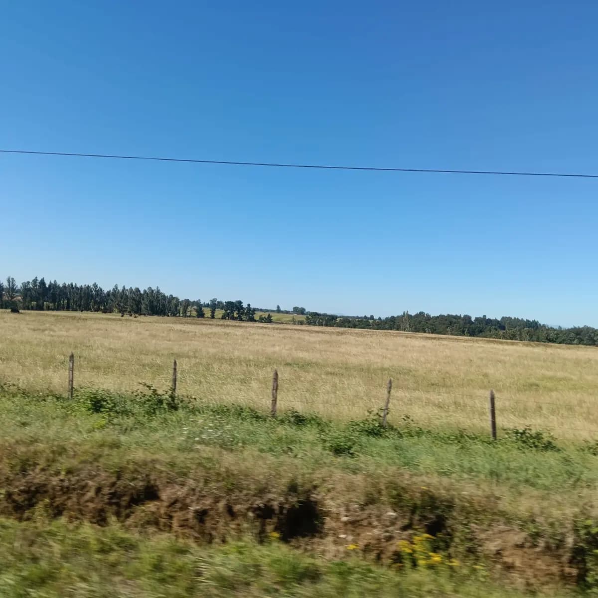 Ruta T-983, Río Bueno, Región de Los Ríos 5240000, Chile