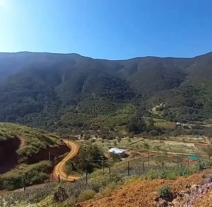 Camino Cajon De San Pedro, Quillota, Región de Valparaíso 2260000, Chile