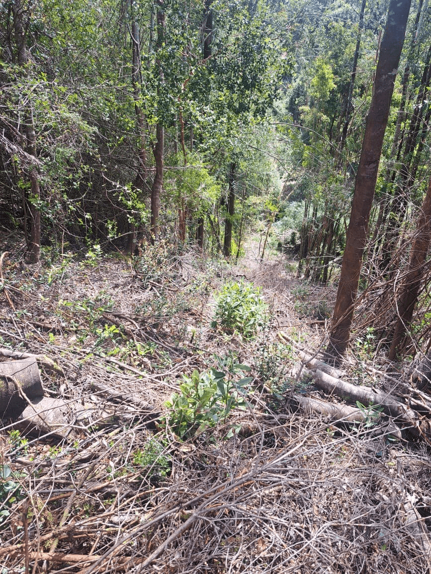 Calbuco, Región de Los Lagos, Chile