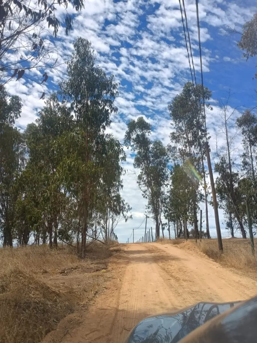 Litueche, Región de O'Higgins, Chile