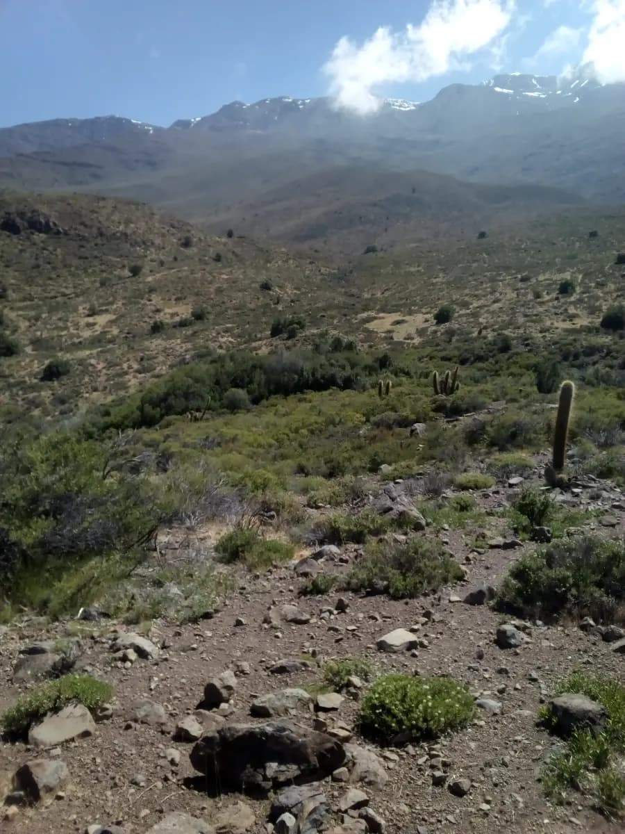 San Esteban, Región de Valparaíso, Chile
