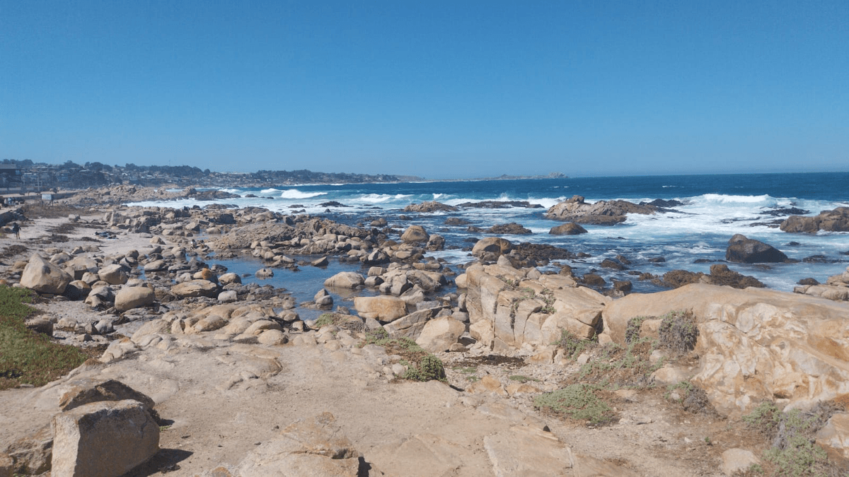 Playa, El Tabo, Región de Valparaíso 2690000, Chile