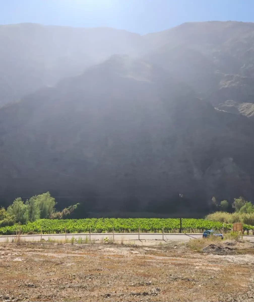 La Majada, Alto del Carmen, Región de Atacama, Chile
