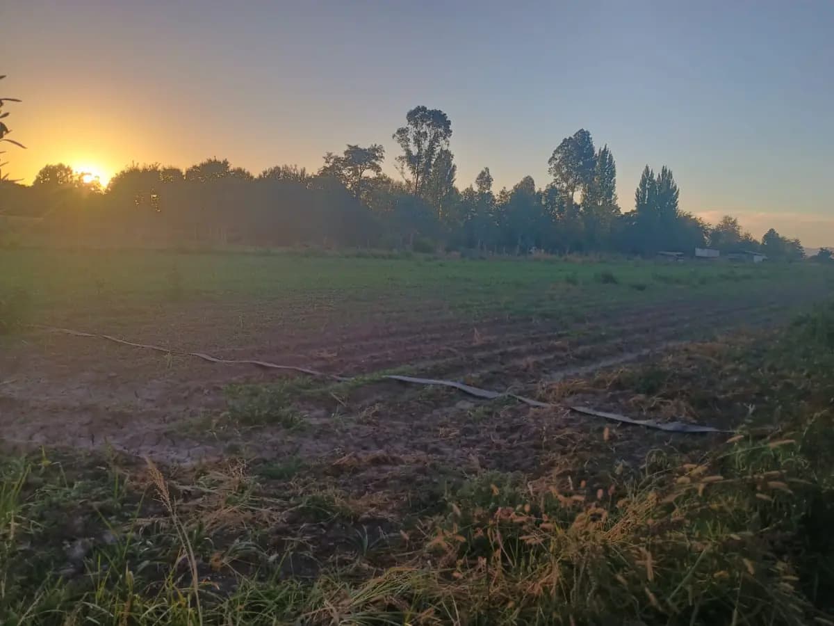Camino El Bordal, Santa Cruz, Región de O'Higgins 3130000, Chile