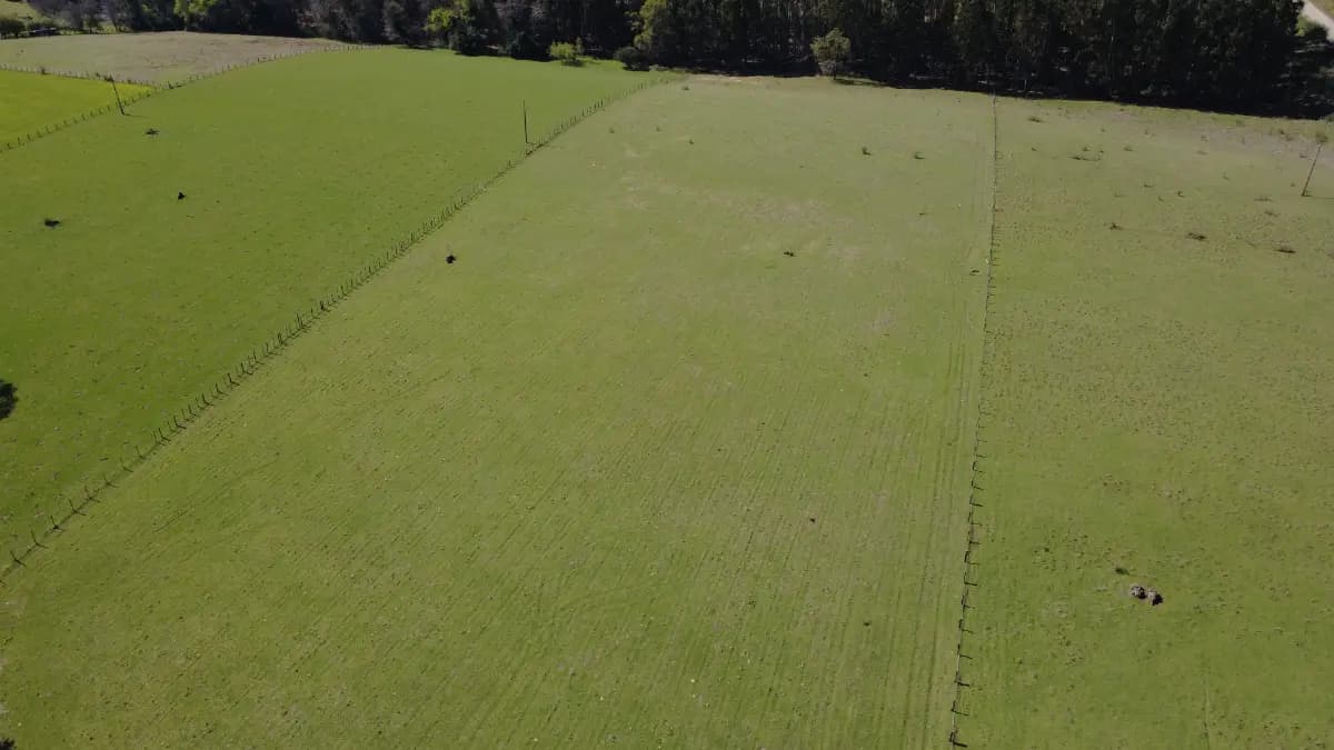 Ruta Q-653, Santa Bárbara, Región del Biobío 4510000, Chile