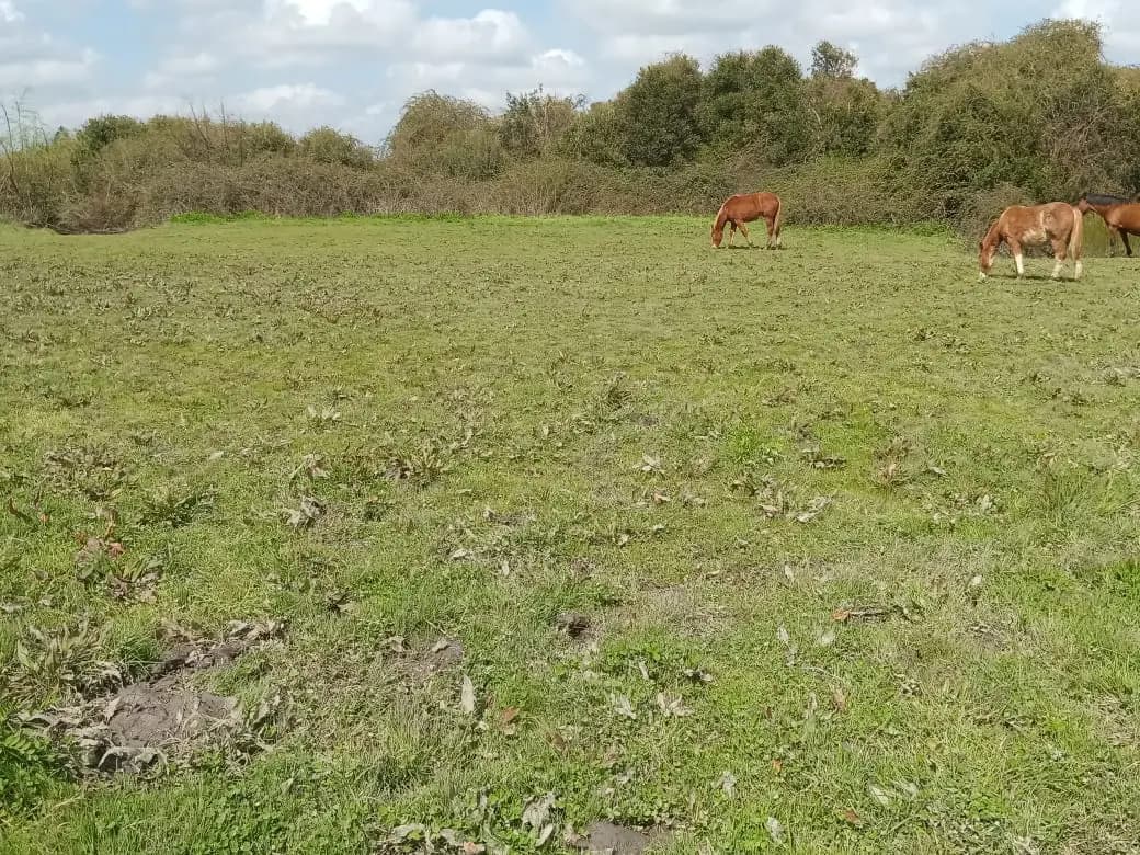 Parral, Región del Maule, Chile