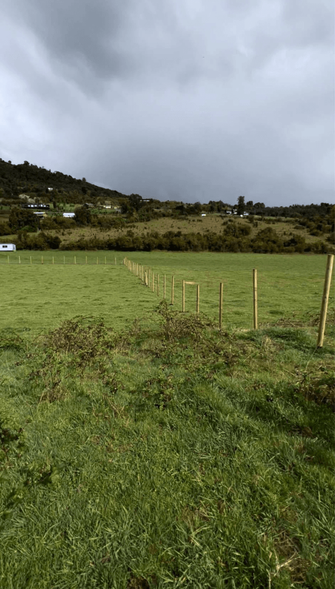Lago Ranco, Región de Los Ríos, Chile