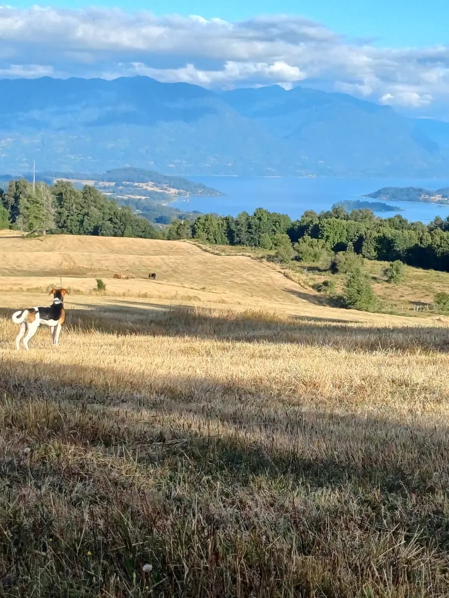 Panguipulli, Región de Los Ríos, Chile