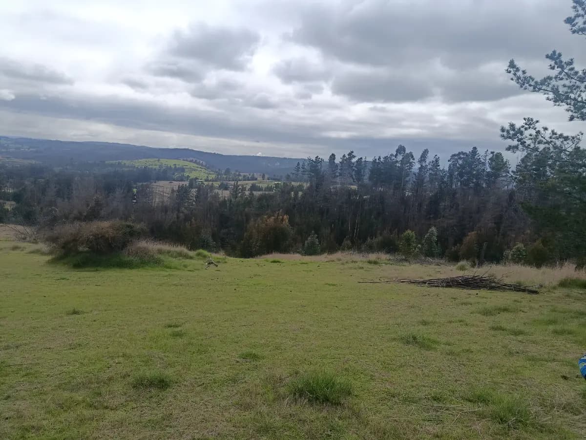 Paredones, Región de O'Higgins, Chile