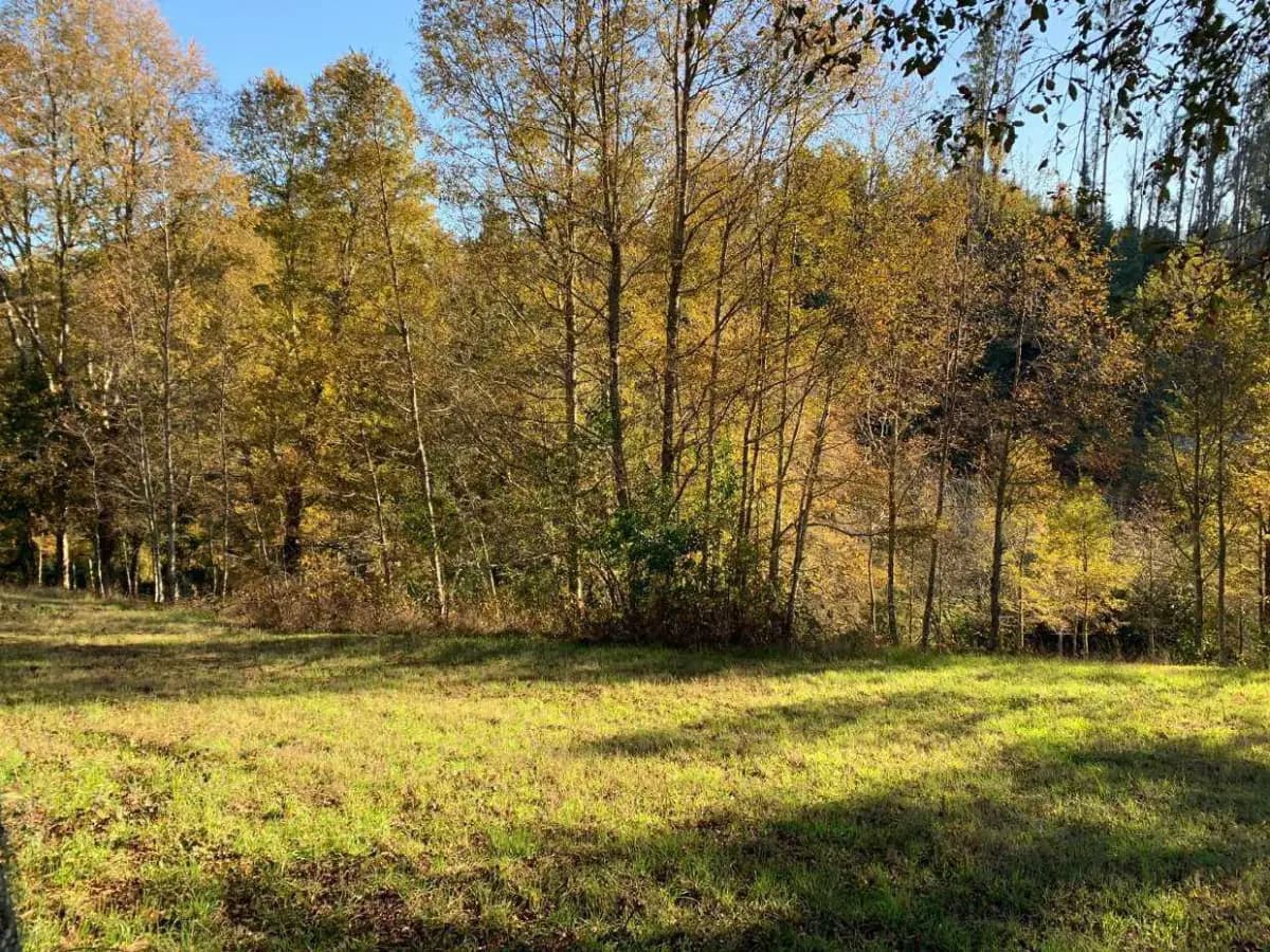 Temuco, Región de La Araucanía, Chile