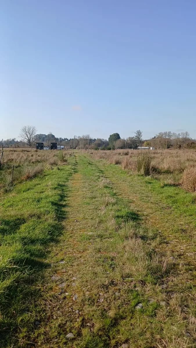 Valdivia, Región de Los Ríos, Chile