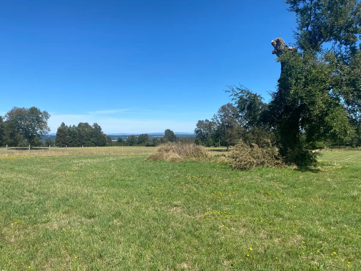 Faja 18.000, Cunco, Región de La Araucanía 4890000, Chile